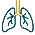 Pulmonary Disease (COPD)
